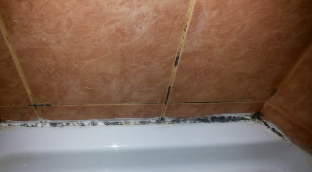 Способ, который поможет избавиться от плесени и грязи в ванной комнате