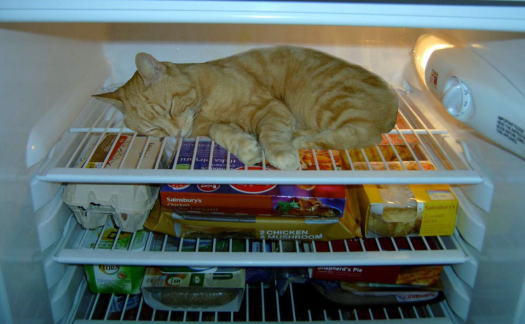В моем холодильнике никогда не пахнет, продукты всегда свежие и не подмерзают, благодаря соде. Делюсь хитростью!