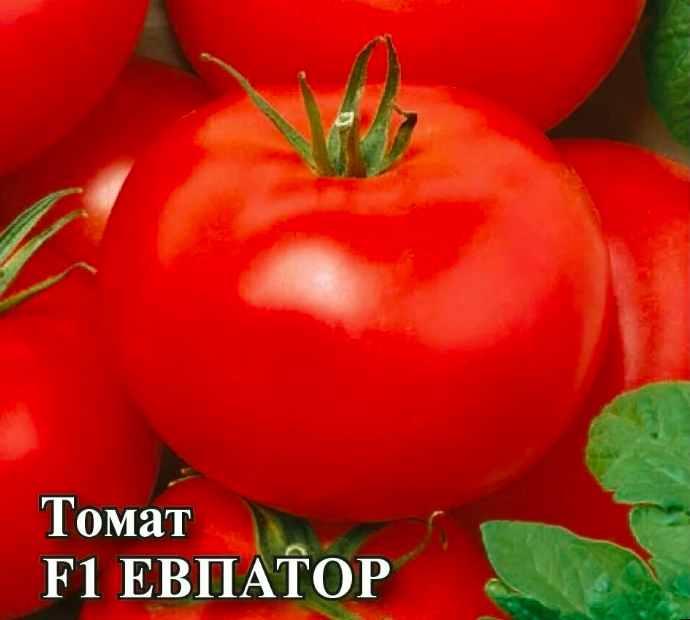 Томаты, которые не будут попусту занимать место на грядках: список сортов-гибридов томатов, в котором огородник найдет достойный вариант